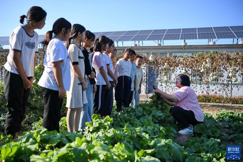 菠菜网下载